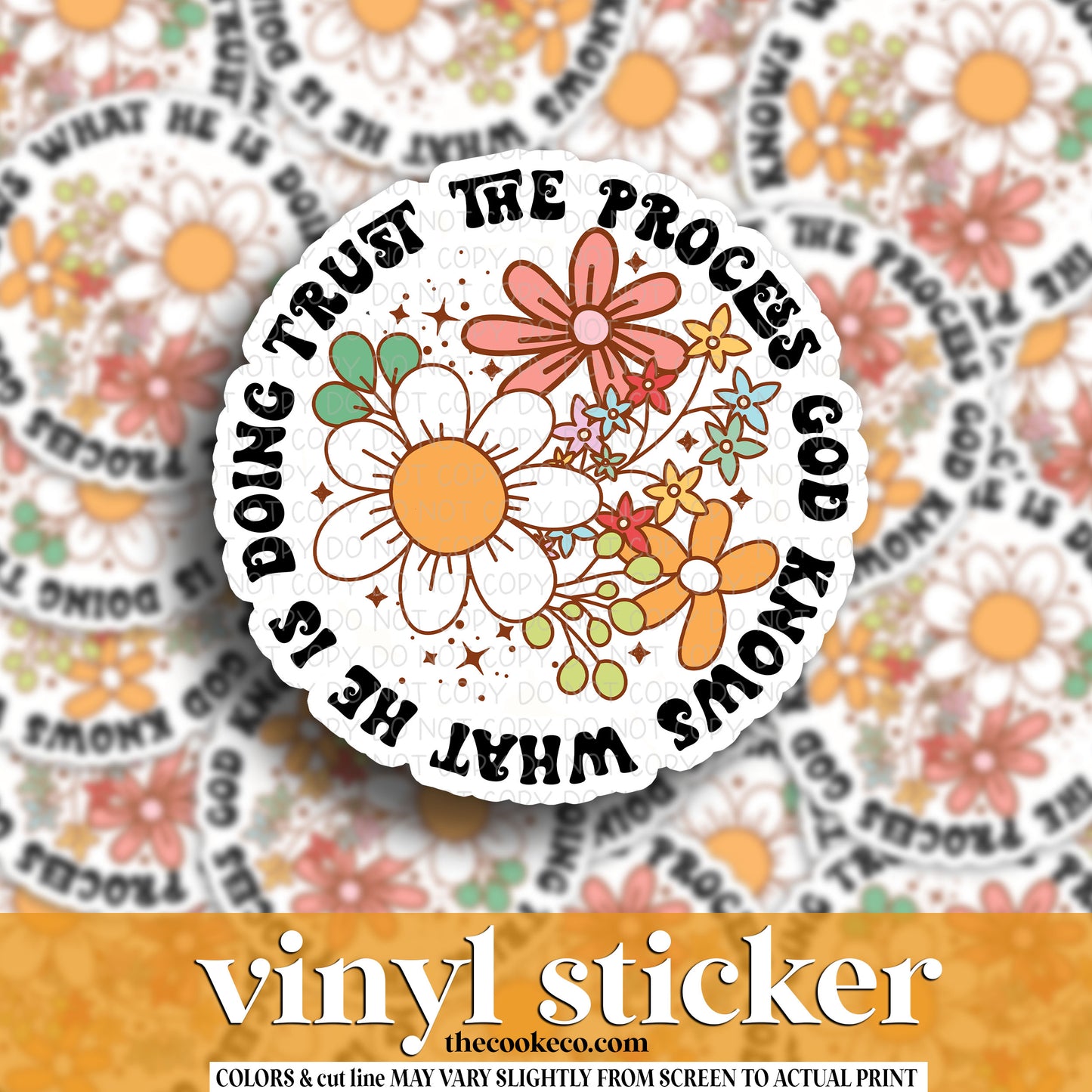 Vinyl Sticker | #V1254 - TRUST THE PROCESS
