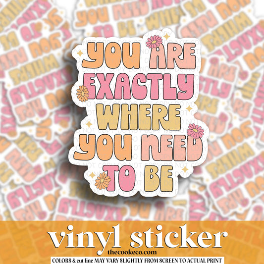 Vinyl Sticker | #V1683  - YOU ARE EXACTLY WHERE YOU NEED TO BE