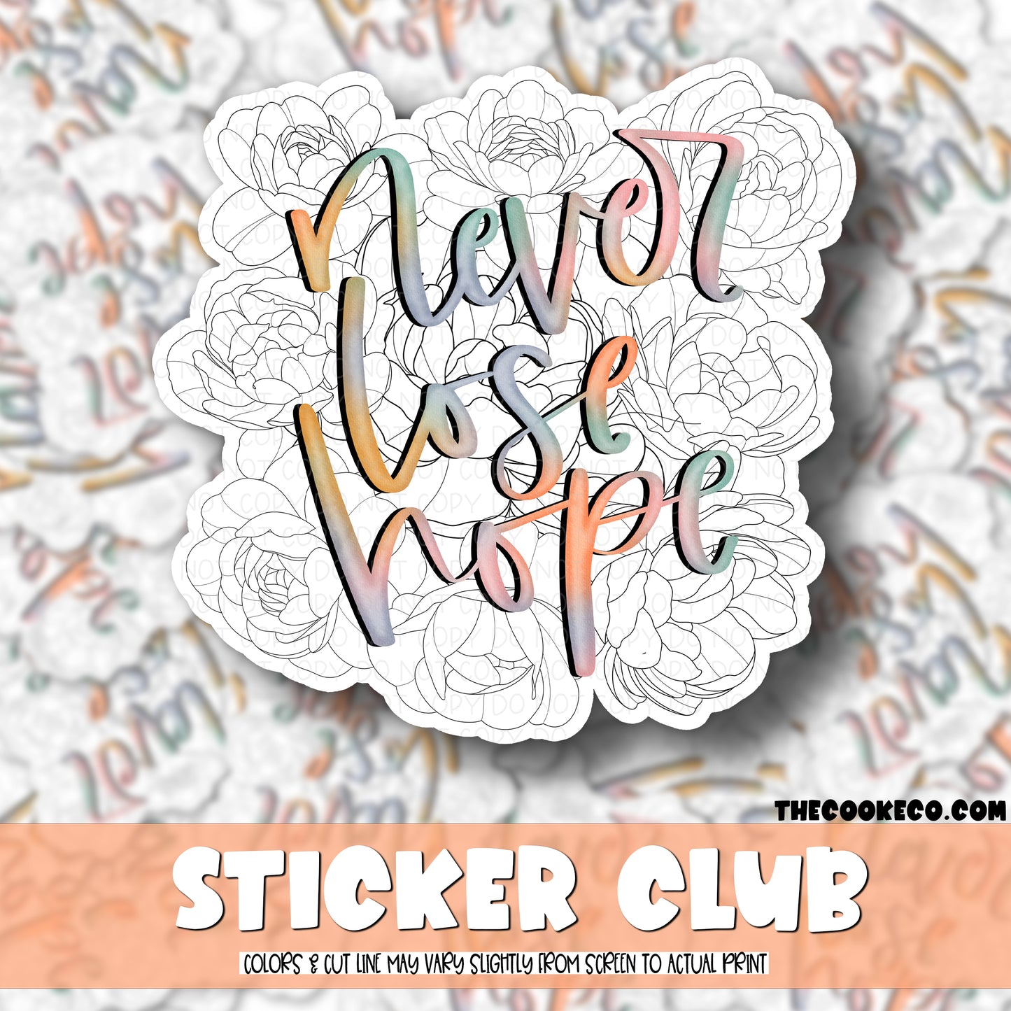 Vinyl Sticker | #V0626 - NEVER LOSE HOPE