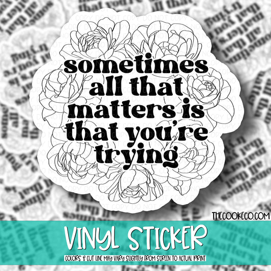 Vinyl Sticker | #V0646 - SOMETIMES ALL THAT MATTERS IS THAT YOU'RE TRYING
